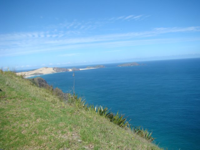 dsc02845.jpg