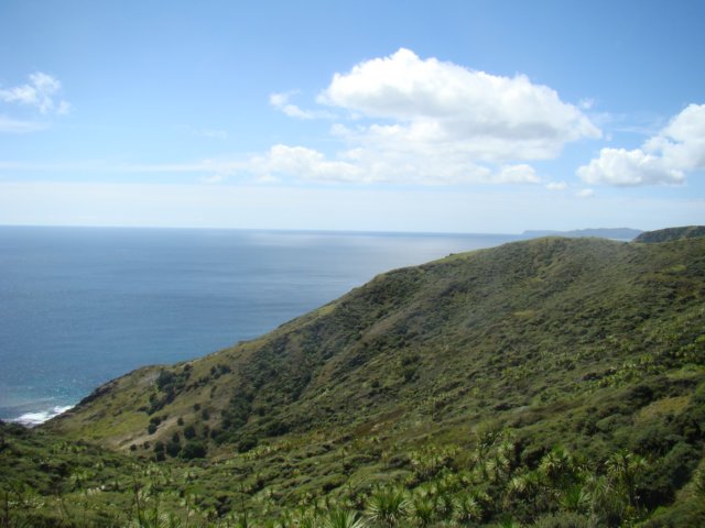 dsc02850.jpg
