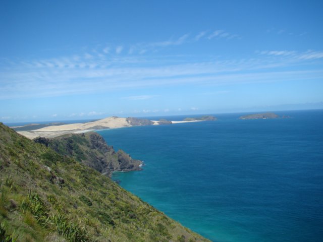 dsc02860.jpg