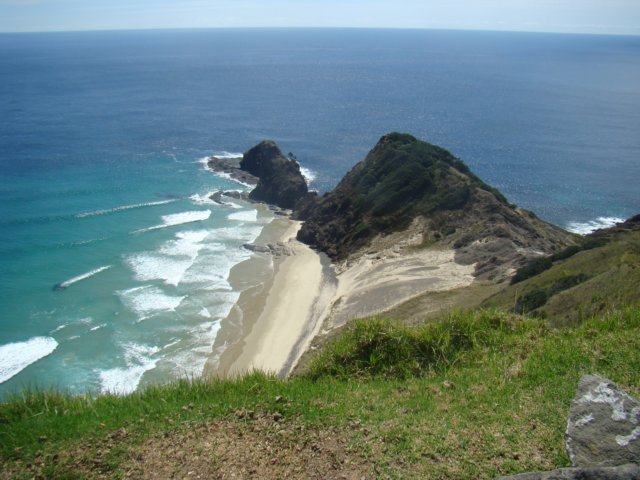 dsc02871.jpg