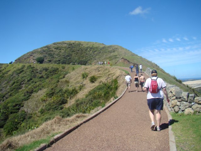 dsc02875.jpg