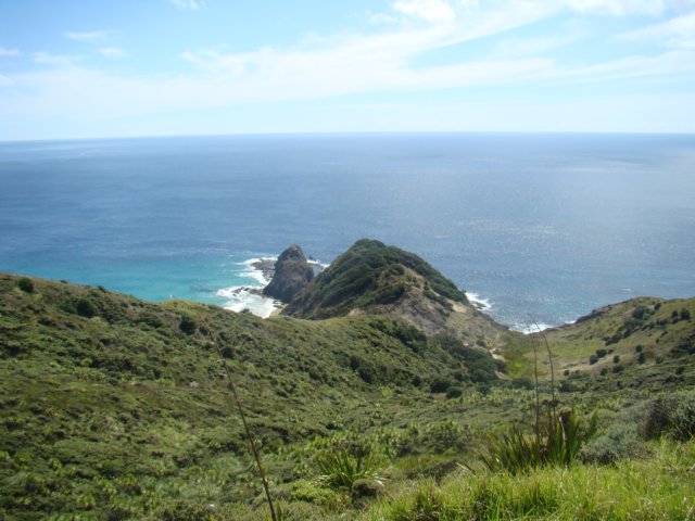 dsc02879.jpg