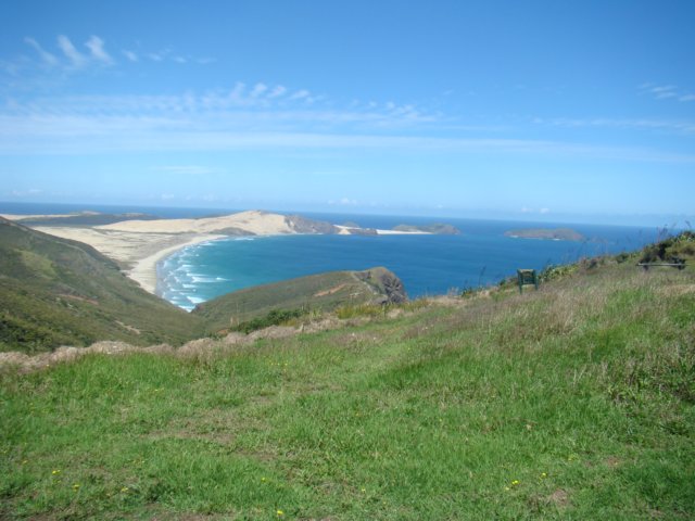 dsc02883.jpg