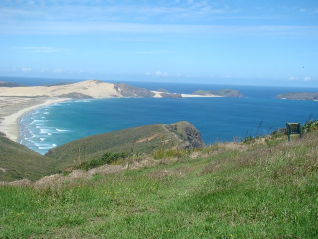 dsc02884.jpg