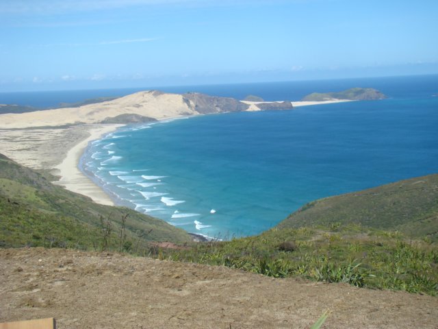dsc02904.jpg
