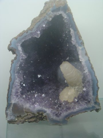 dsc03101.jpg