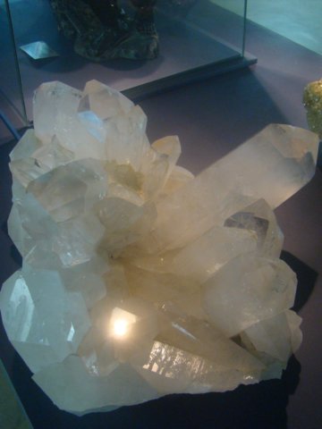 dsc03106.jpg