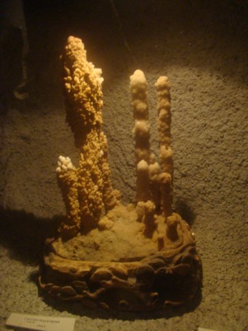 dsc03109.jpg