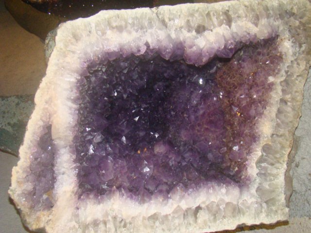 dsc03114.jpg
