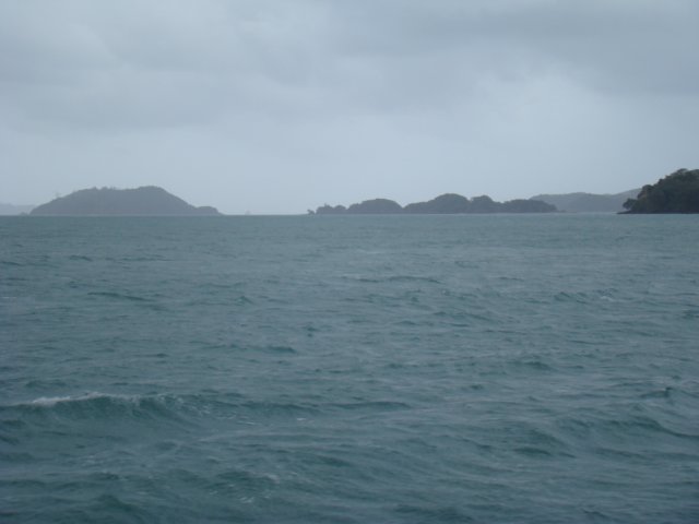 dsc02937.jpg