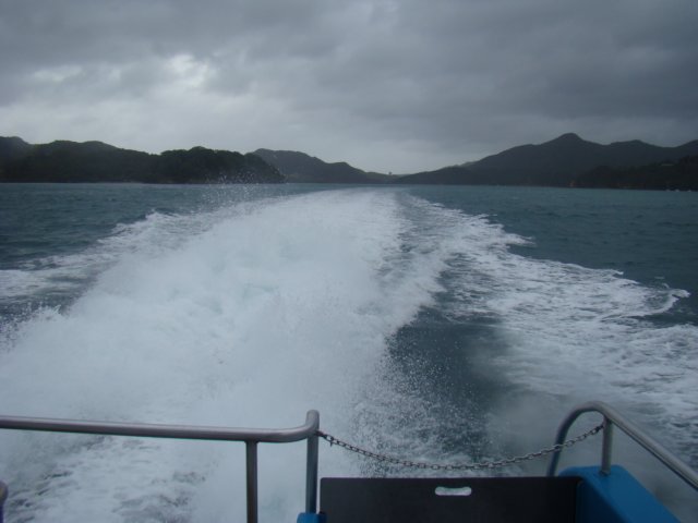 dsc02948.jpg
