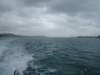 dsc02963_small.jpg
