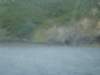dsc02972_small.jpg