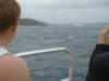 dsc02974_small.jpg