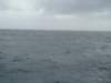 dsc02975_small.jpg