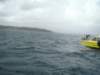 dsc02979_small.jpg