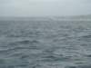 dsc02980_small.jpg