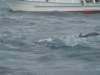 dsc02982_small.jpg