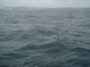 dsc02983_small.jpg