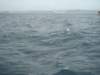 dsc02984_small.jpg