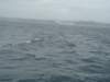 dsc02986_small.jpg