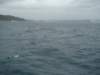 dsc02987_small.jpg