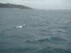 dsc02988_small.jpg