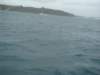 dsc02989_small.jpg
