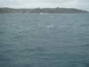dsc02991_small.jpg
