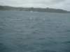 dsc02992_small.jpg