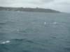 dsc02993_small.jpg