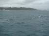 dsc02994_small.jpg