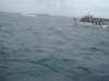 dsc02996_small.jpg