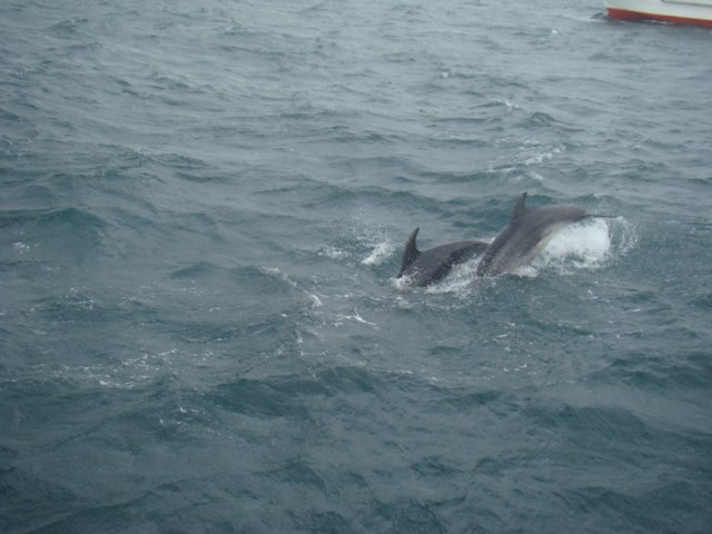 dsc02999.jpg