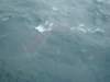 dsc03001_small.jpg