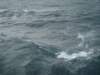 dsc03002_small.jpg