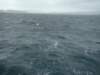 dsc03004_small.jpg