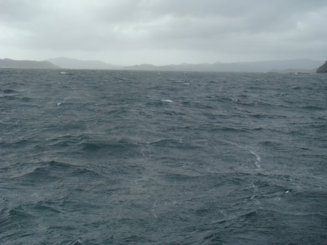 dsc03005.jpg