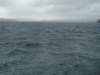 dsc03005_small.jpg