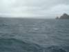 dsc03006_small.jpg