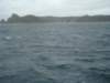 dsc03007_small.jpg