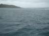 dsc03010_small.jpg