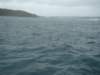 dsc03011_small.jpg