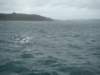 dsc03012_small.jpg