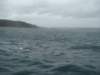dsc03013_small.jpg