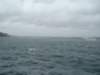 dsc03014_small.jpg