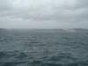 dsc03016_small.jpg