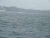 dsc03018_small.jpg