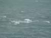 dsc03020_small.jpg