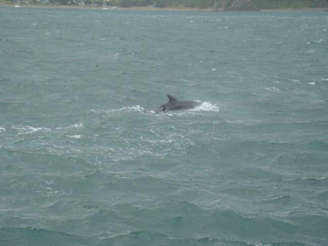 dsc03021.jpg